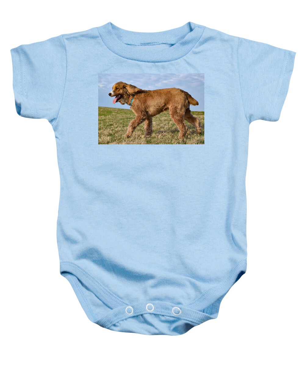 Cockapoo Baby Onesie featuring the photograph Sunny Stroll by Nicole Lloyd