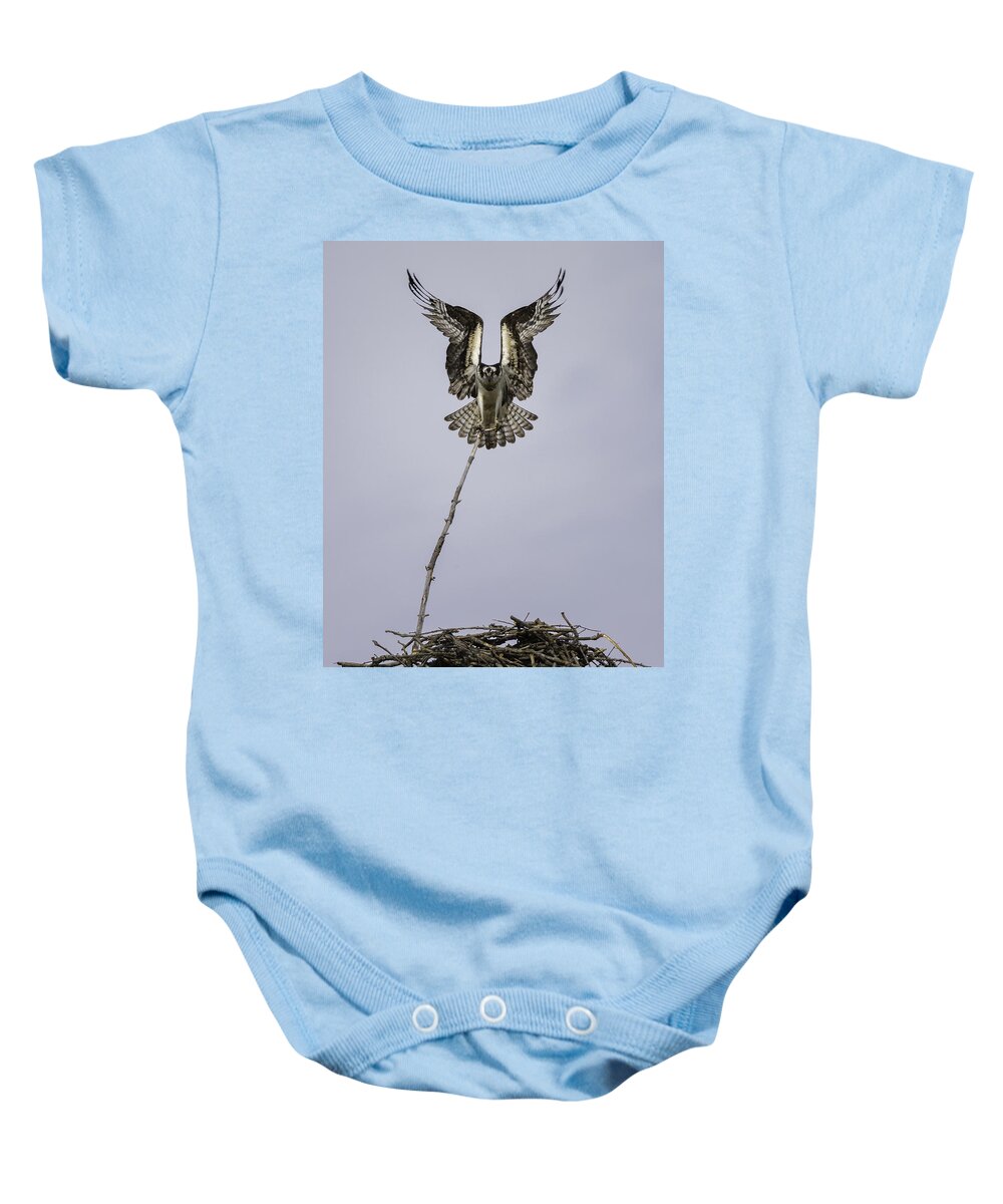 Osprey Baby Onesie featuring the photograph Symmetry by Everet Regal
