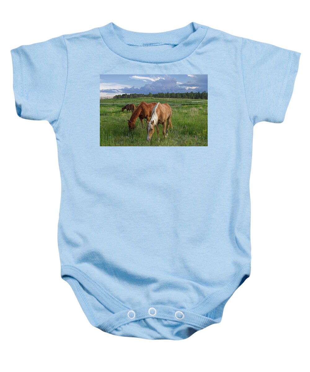  Horses Baby Onesie featuring the photograph The Mowing Crew by Alana Thrower