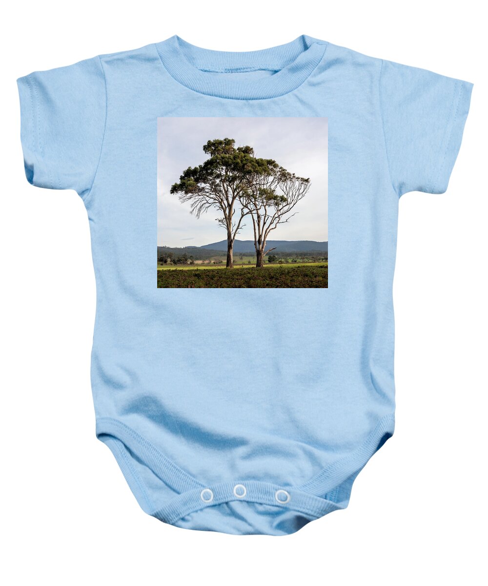 Trees Baby Onesie featuring the photograph Tree Duo by Anthony Davey