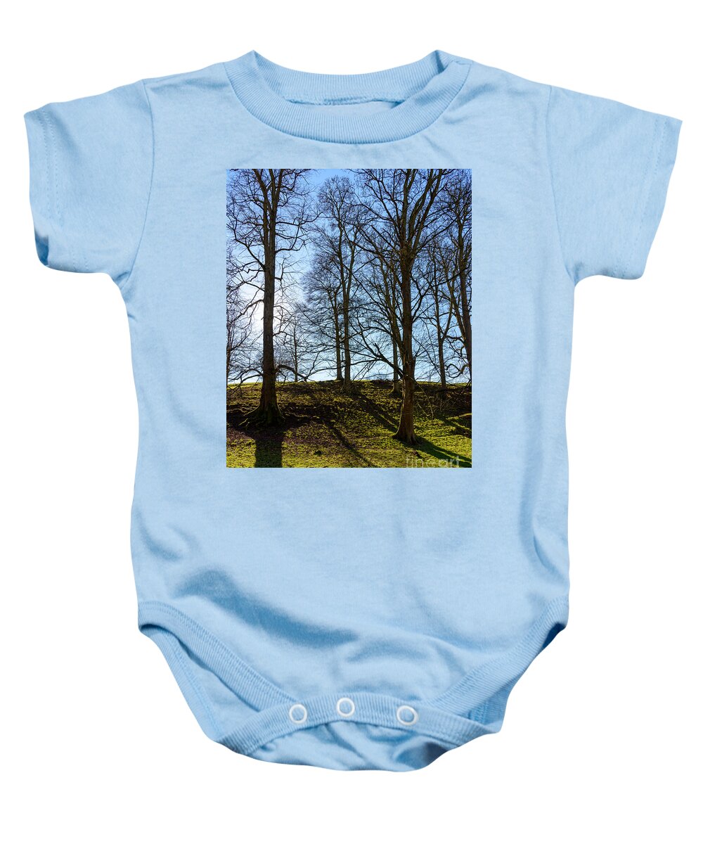 Trees Baby Onesie featuring the photograph Tree silhouettes by Colin Rayner