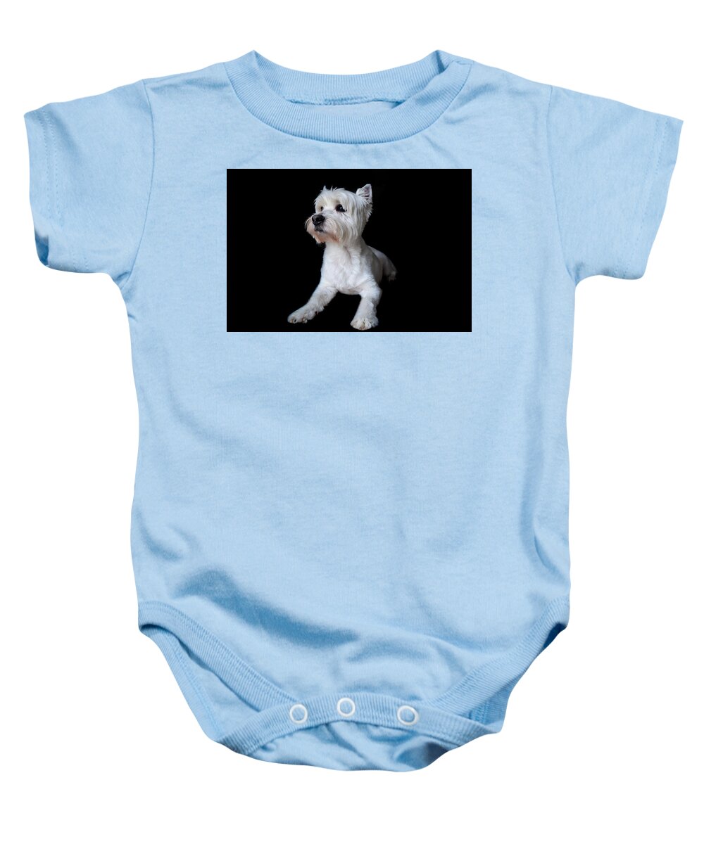 Westie Baby Onesie featuring the photograph Trot Posing by Nicole Lloyd