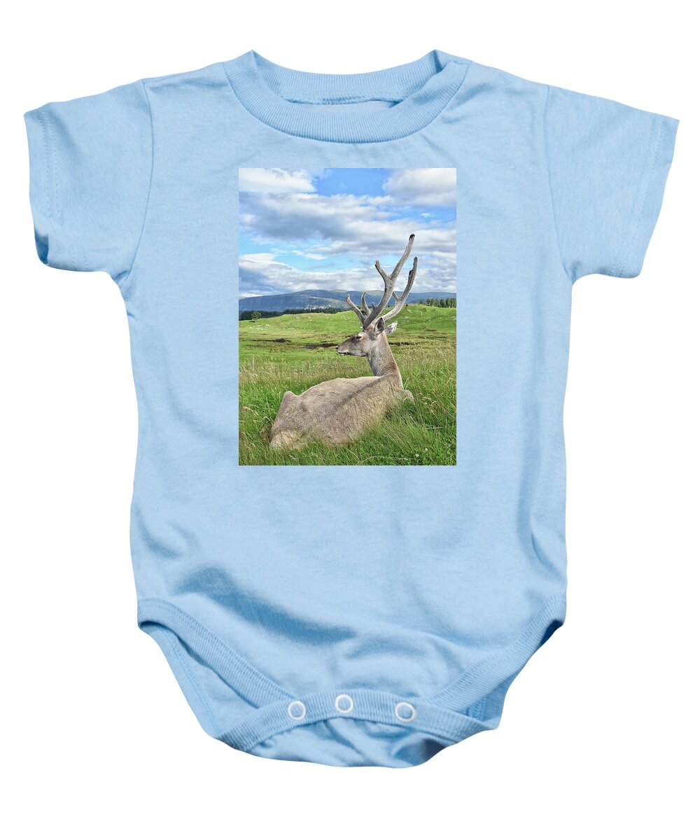  Baby Onesie featuring the photograph Velvet by Kuni Photography