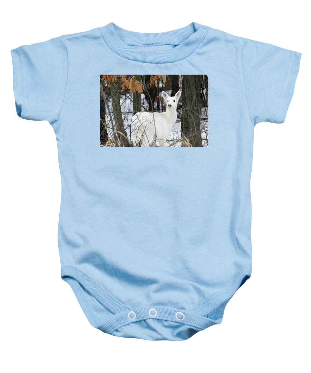 White Baby Onesie featuring the photograph White Deer Vistor by Brook Burling
