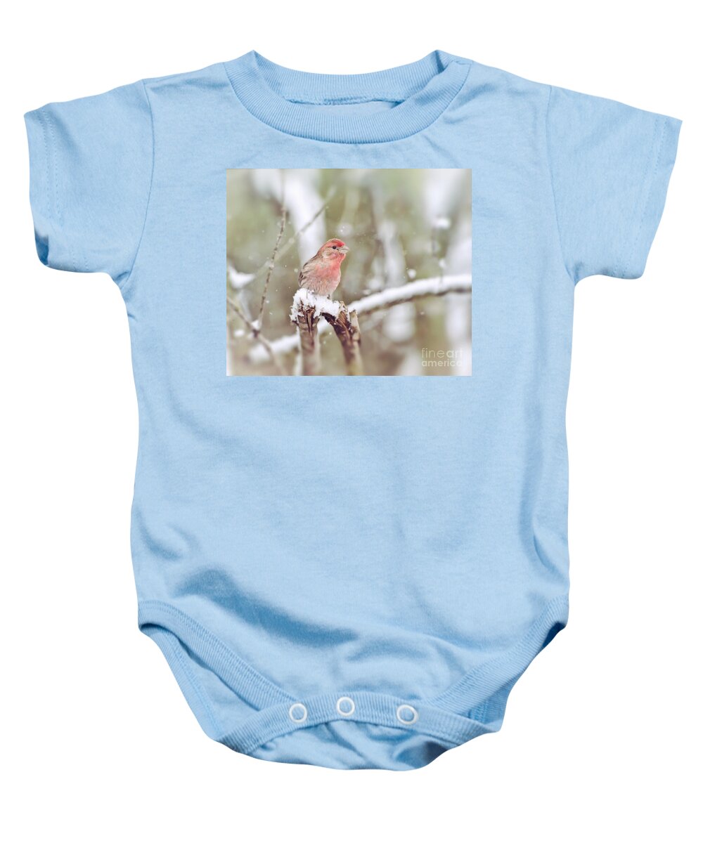 House Finch Baby Onesie featuring the photograph Wild Birds - House Finch in The Snow by Kerri Farley of New River Nature