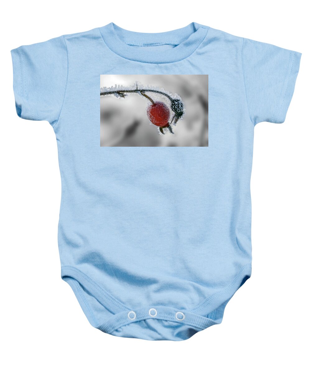 Rose Hip Baby Onesie featuring the photograph Winter Rose Hip by Inge Riis McDonald