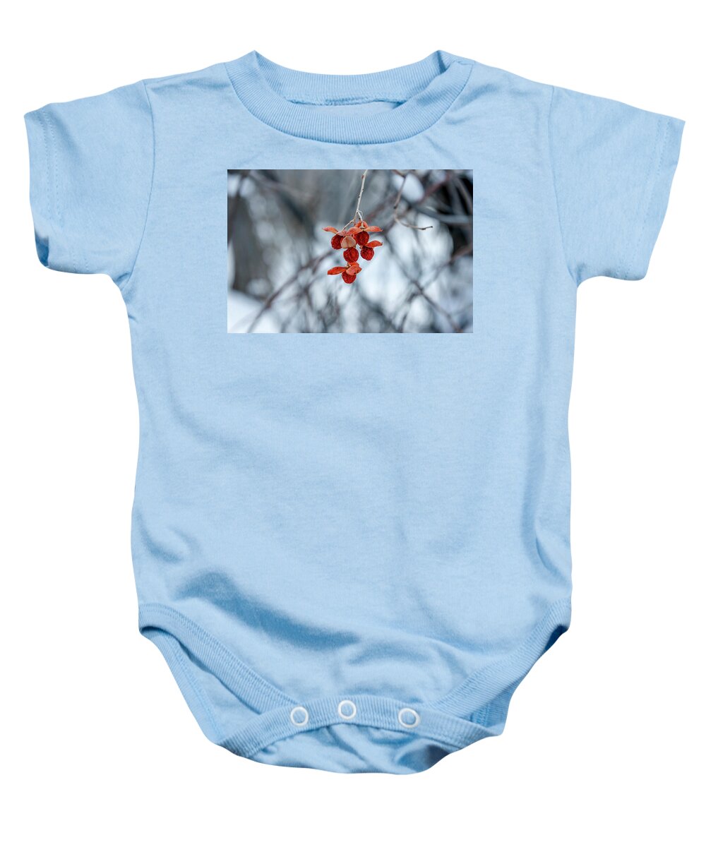 Colorado Baby Onesie featuring the photograph Winter Seeds by Daniel Murphy