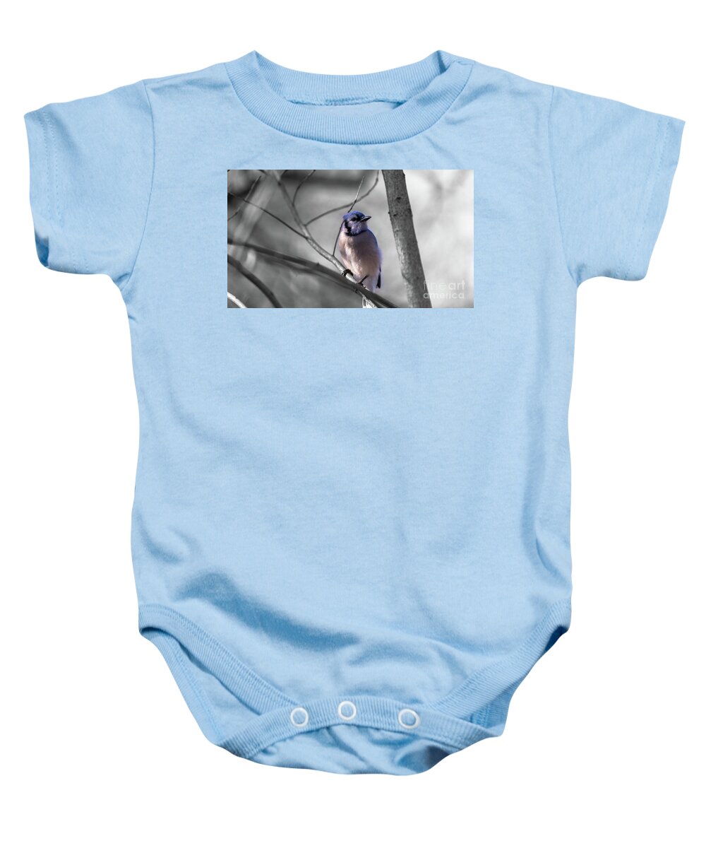  Baby Onesie featuring the photograph Blue Jay by Dheeraj Mutha