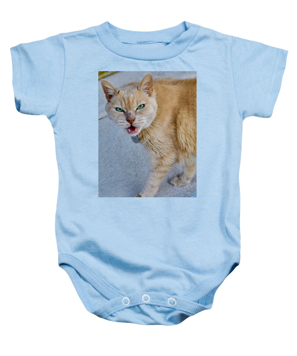 Coco Baby Onesie featuring the photograph Call of the Wild Hangry Cat by Debra Grace Addison