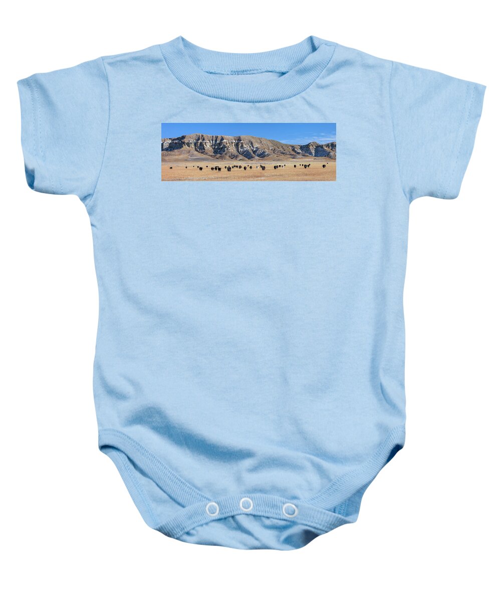 Panorama Baby Onesie featuring the photograph Chalk Cliffs Panorama by Todd Klassy