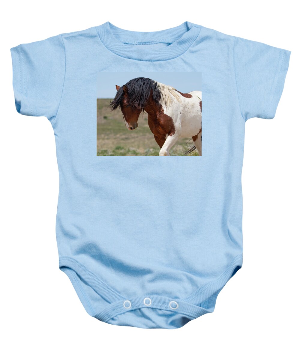 Wild Horses Baby Onesie featuring the photograph Charger by Mary Hone