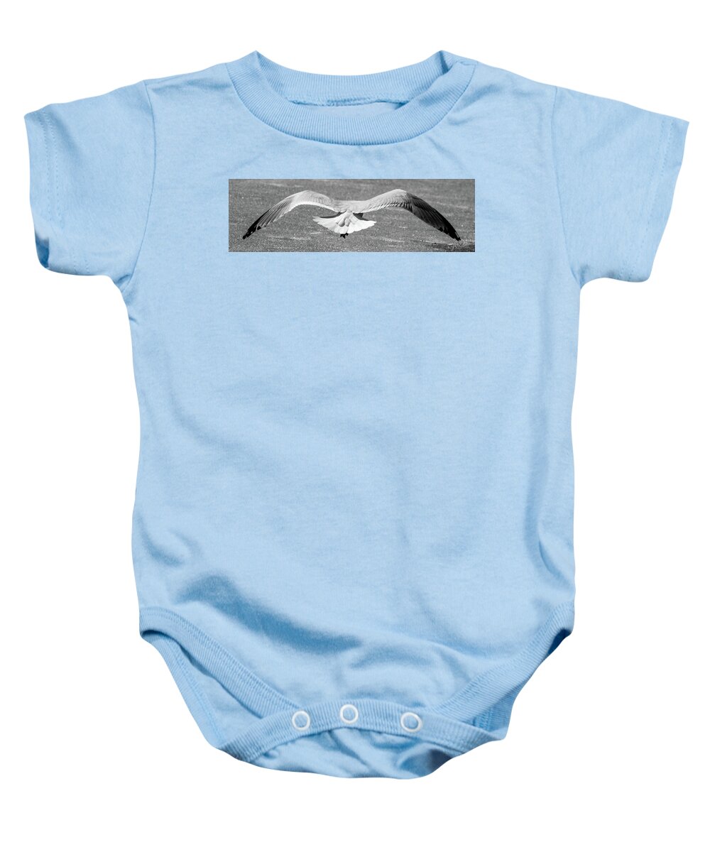 Gull Baby Onesie featuring the photograph Clear For Takeoff by Phil S Addis