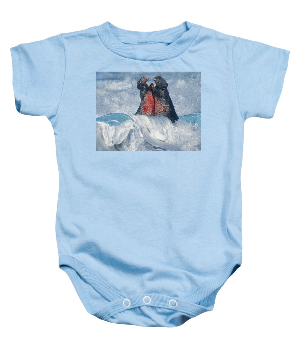 00586413 Baby Onesie featuring the photograph Elephant Seal Bulls Fighting In Surf, Piedras Blancas, California by Tim Fitzharris