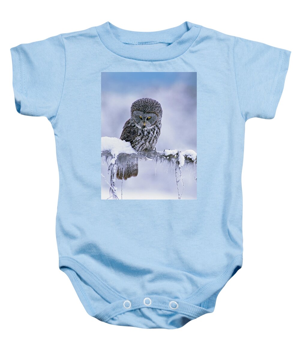 00586269 Baby Onesie featuring the photograph Great Gray Owl In Winter, North America by Tim Fitzharris