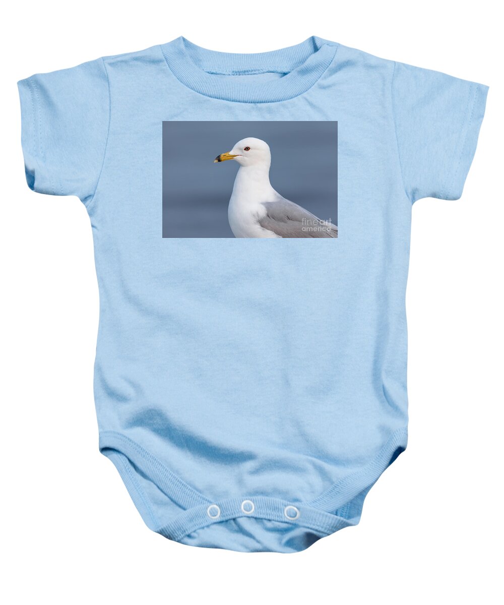Photography Baby Onesie featuring the photograph Gull Portrait 1 by Alma Danison