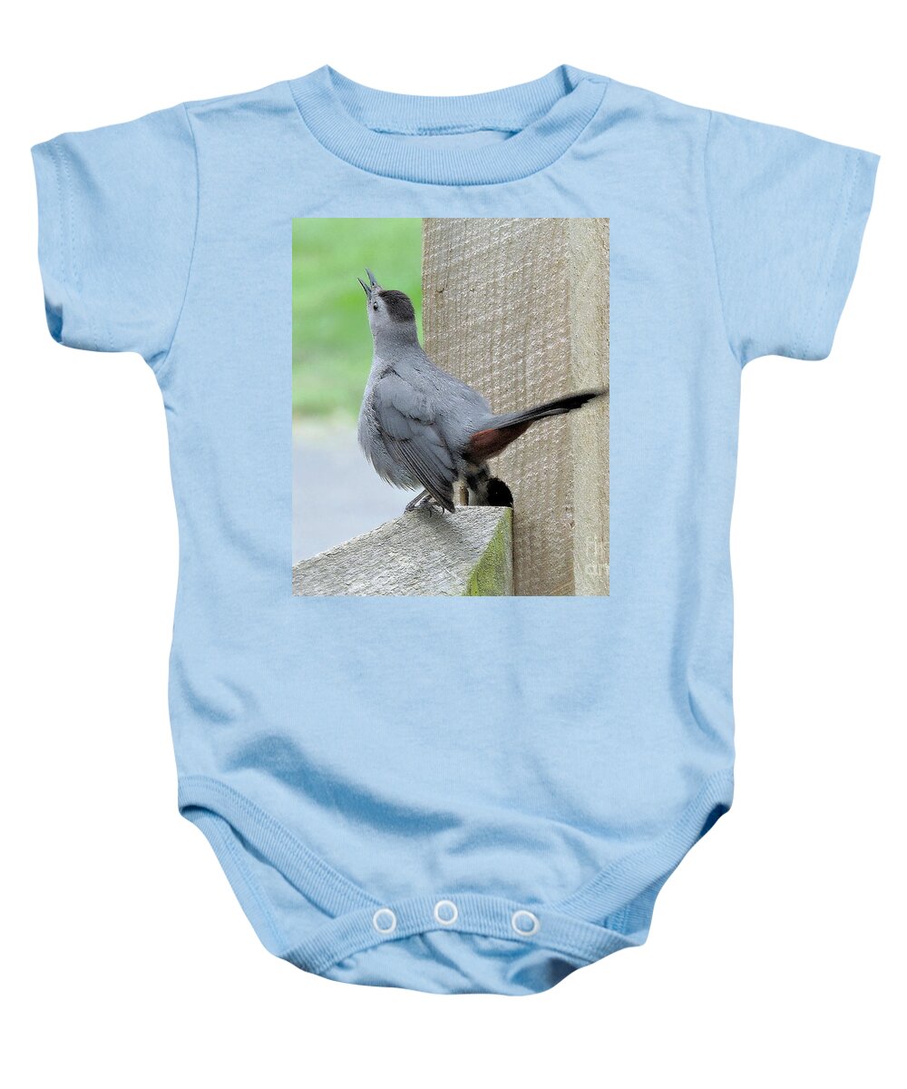 Catbird Baby Onesie featuring the photograph I Know Why The Catbird Sings by Tami Quigley