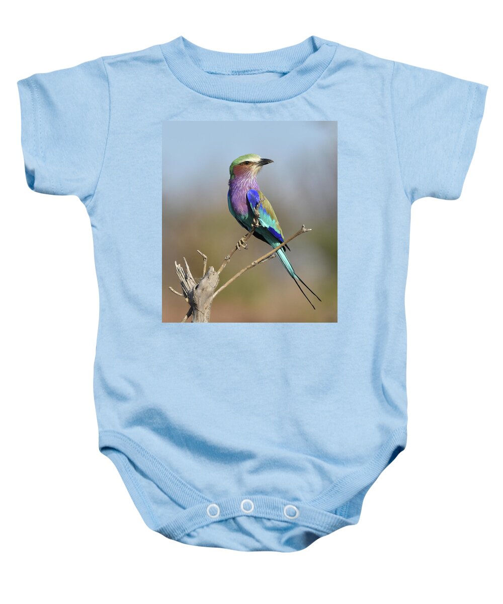 Lilac-breasted Roller Baby Onesie featuring the photograph Lilac-Breasted Roller by Ben Foster