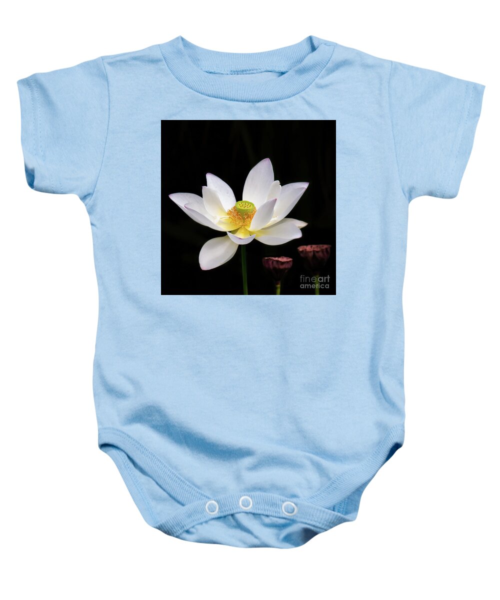 Spring Baby Onesie featuring the photograph Lotus Loving the Sunshine by Sabrina L Ryan