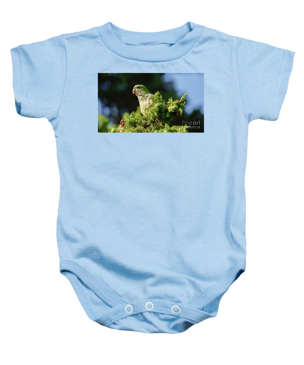 Ara Baby Onesie featuring the photograph Monk Parakeet Perched on a Tree by Pablo Avanzini