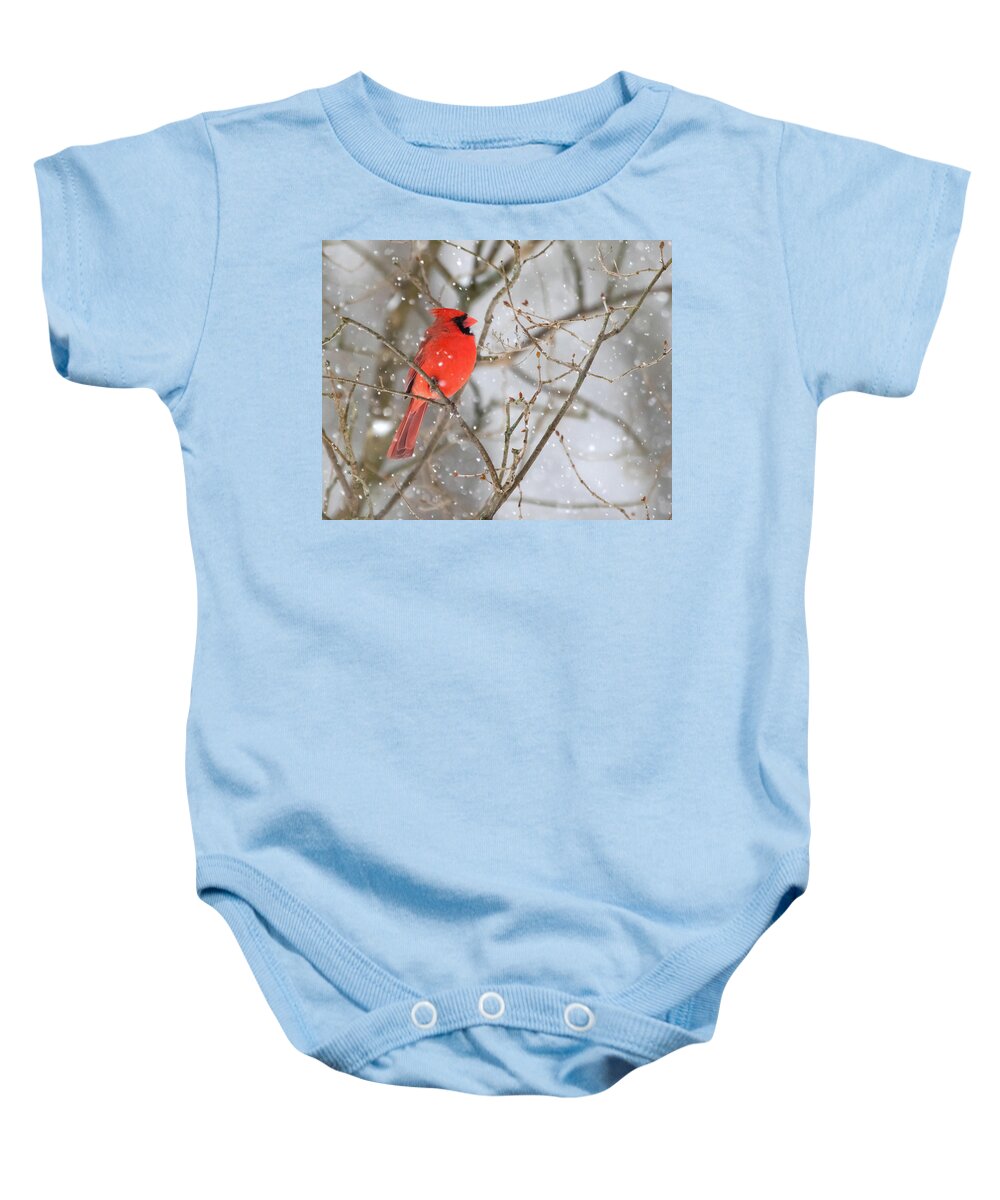 Cardinal Baby Onesie featuring the photograph Northern Cardinal in Snow #1 by Mindy Musick King
