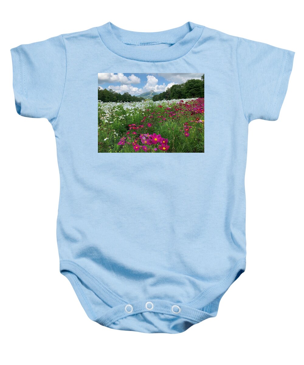 Landscape Baby Onesie featuring the photograph Pilot Mountain Flowers by Chris Berrier