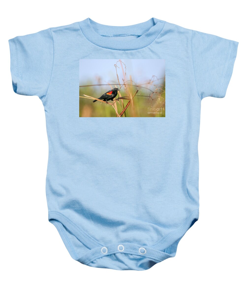 Perch Baby Onesie featuring the photograph Precarious Perch by Tom Claud
