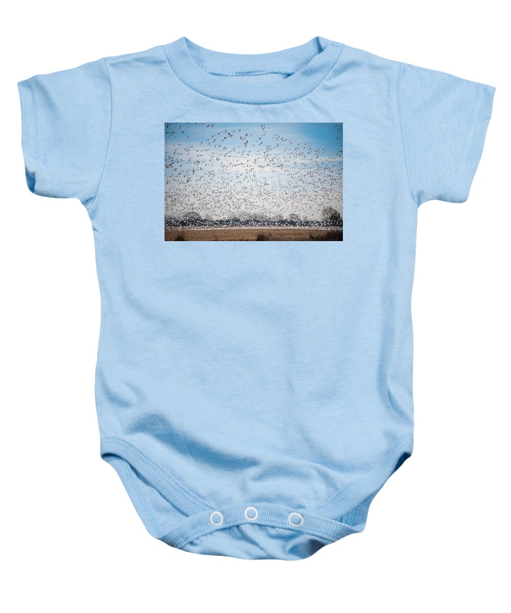 Annapolis Baby Onesie featuring the photograph Resting on the Flyway by Mark Duehmig