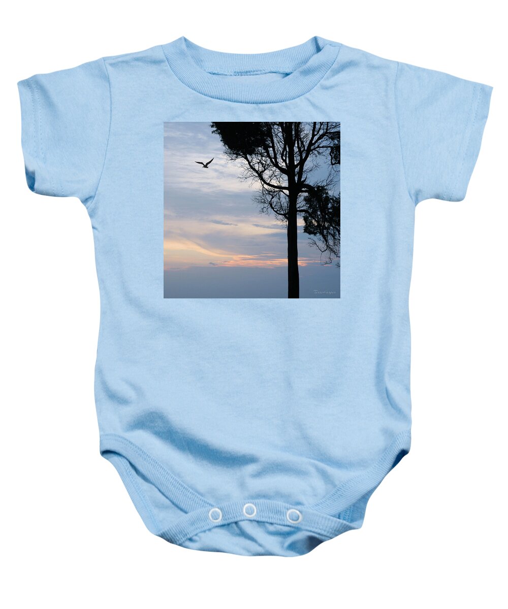 Catawba Baby Onesie featuring the photograph Seagull Sunset At Catawba by Terri Harper