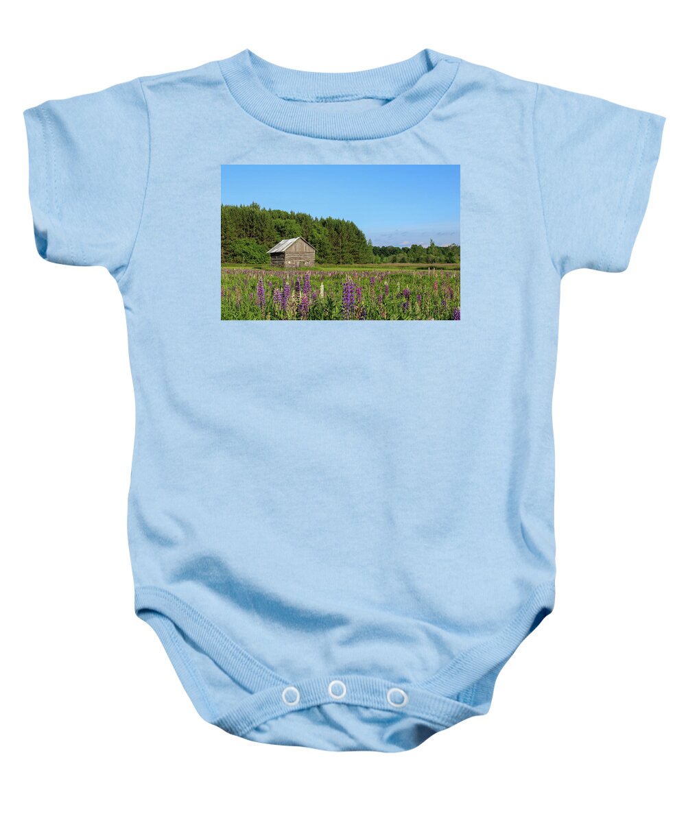 Lupine Baby Onesie featuring the photograph Spring Lupine Barn 34 by Brook Burling