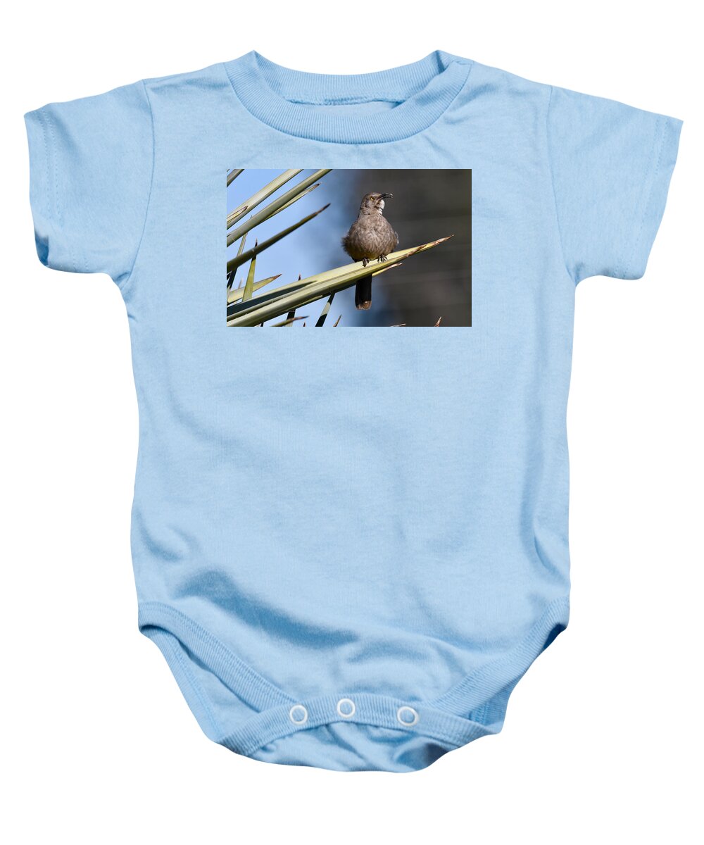 Thrasher Baby Onesie featuring the photograph Squawker by Sonja Jones