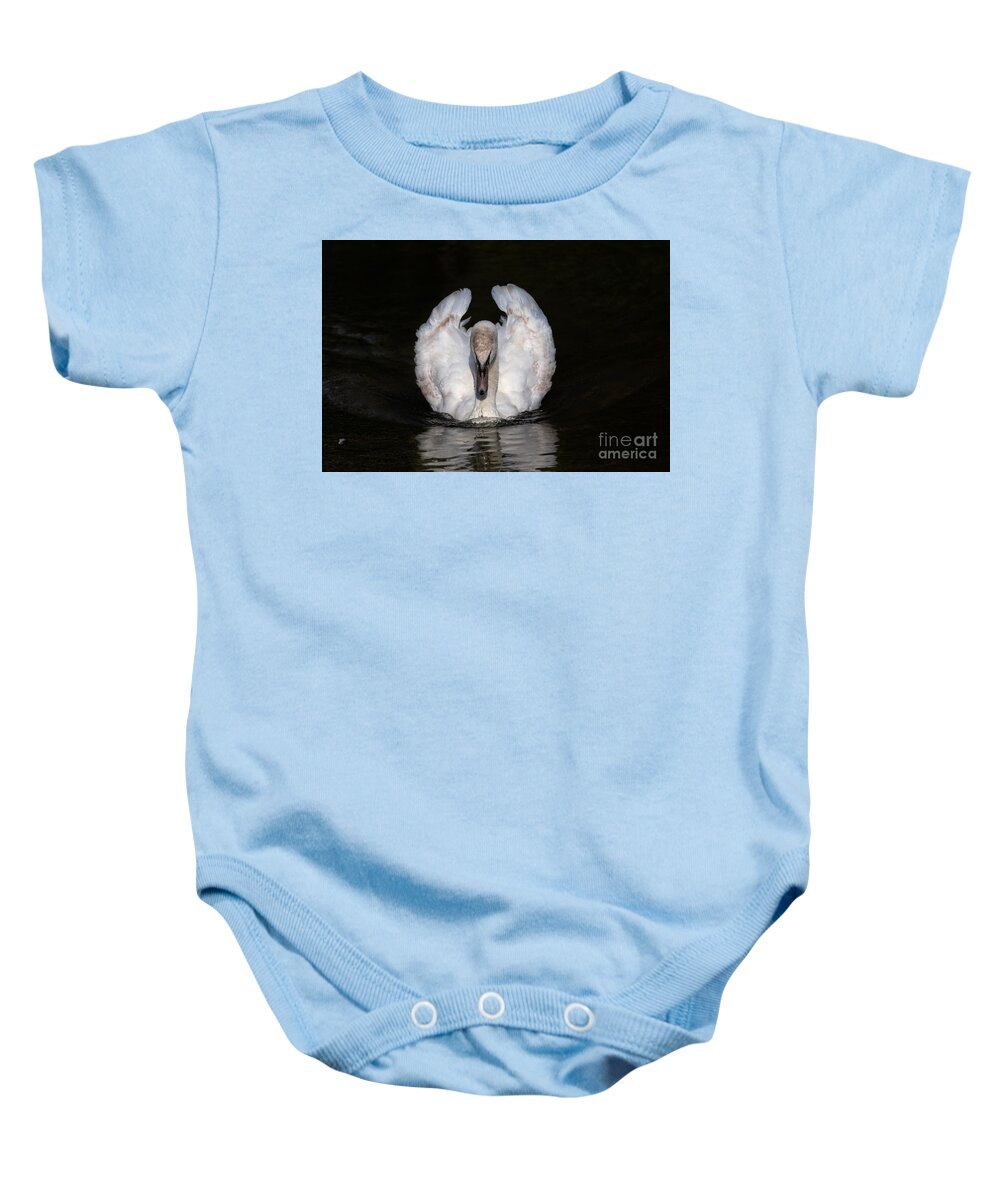 Photography Baby Onesie featuring the photograph Staring Swan by Alma Danison