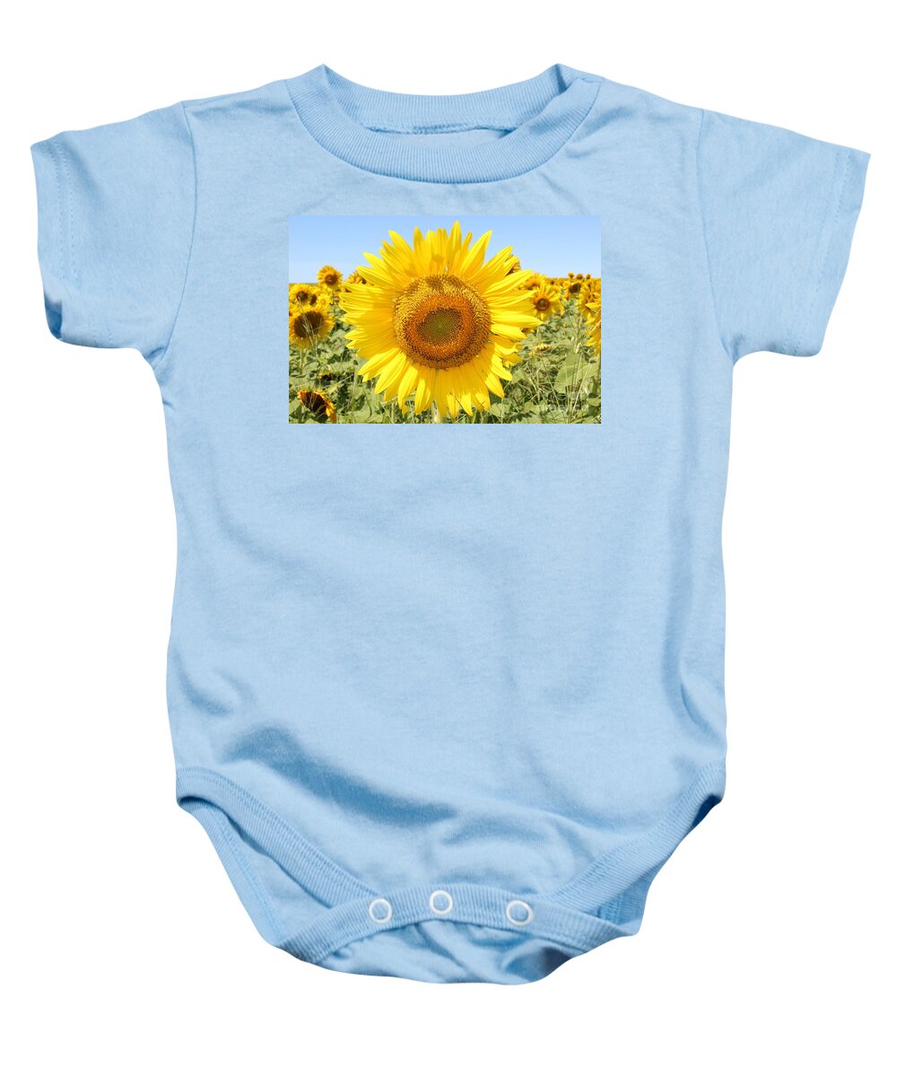 Sunflower Sunshine Ii Baby Onesie featuring the photograph Sunflower Sunshine II by Barbra Telfer