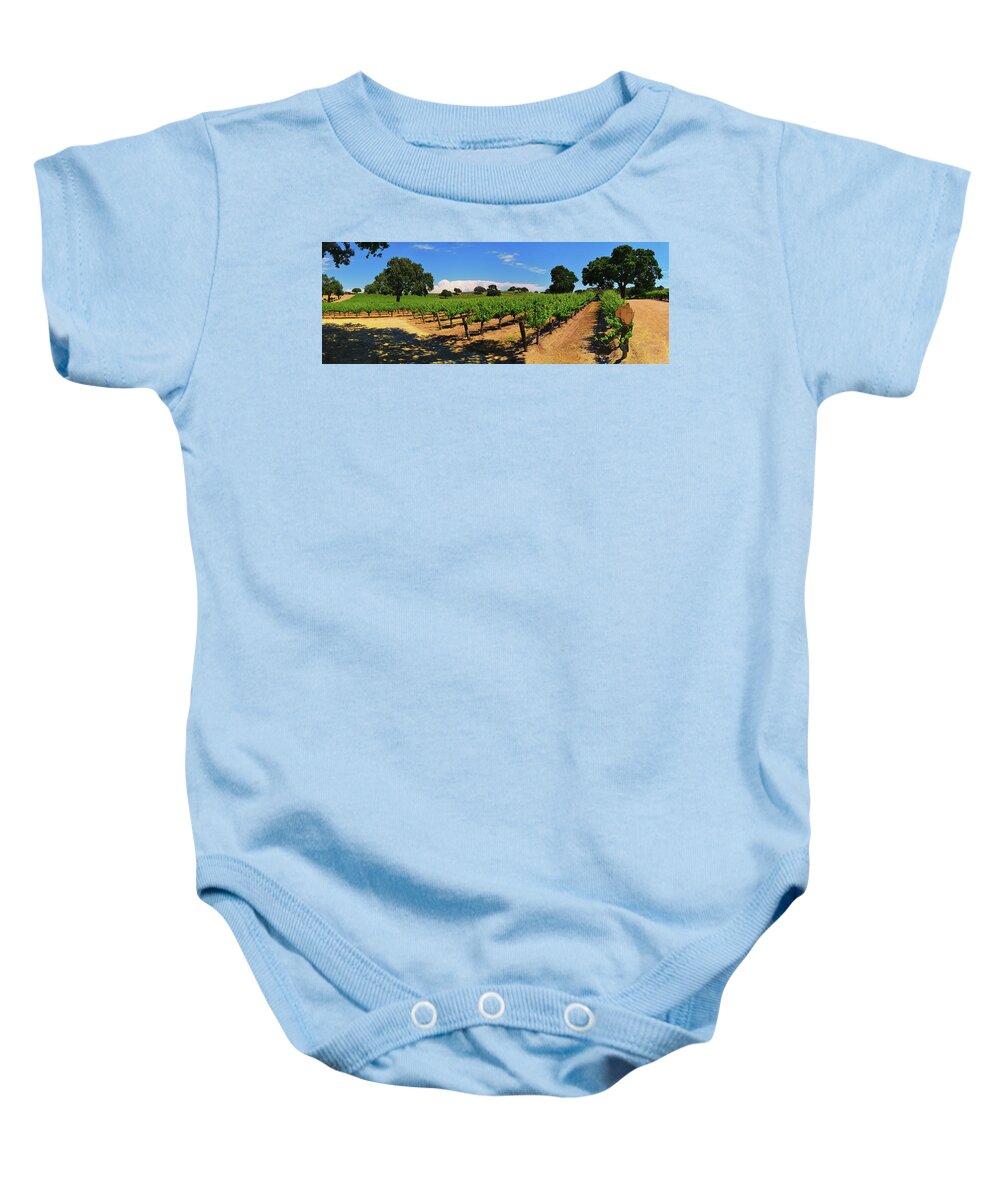 Wine Country Baby Onesie featuring the photograph Wine Country Panorama by Greg Norrell