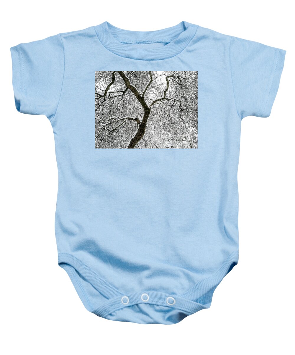 Tree Baby Onesie featuring the photograph Winter concinnity by Rosita Larsson