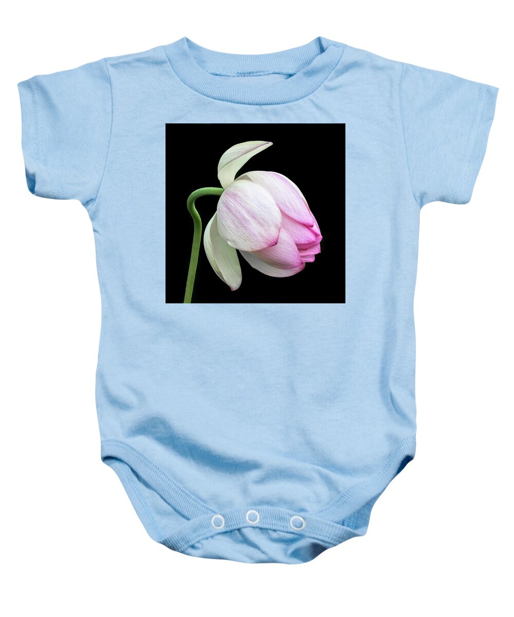 Lotus Baby Onesie featuring the photograph Gentle Beauty #2 by Elvira Peretsman