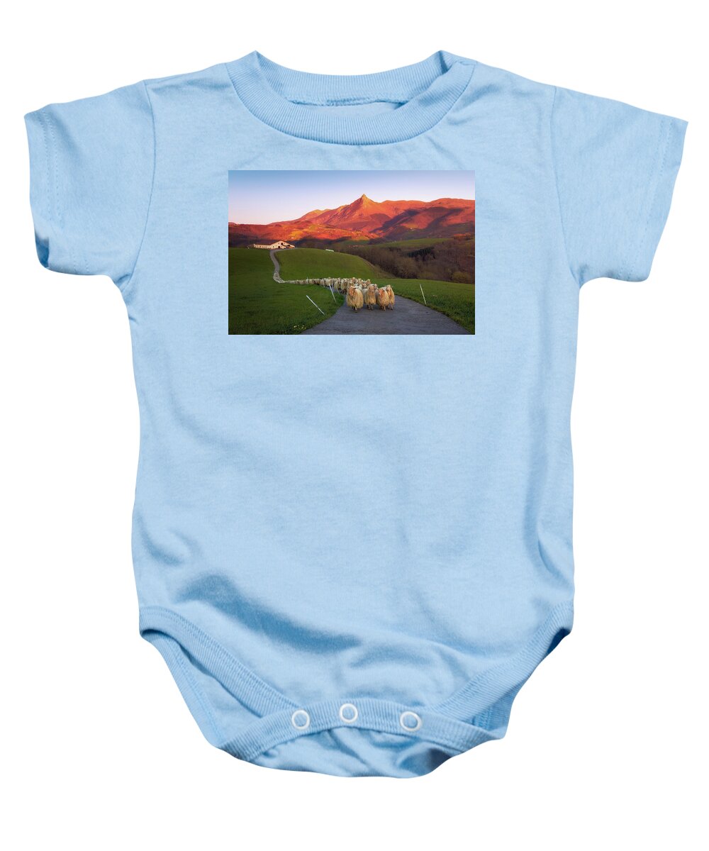 Sheep Baby Onesie featuring the photograph Goierri #1 by Mikel Martinez de Osaba