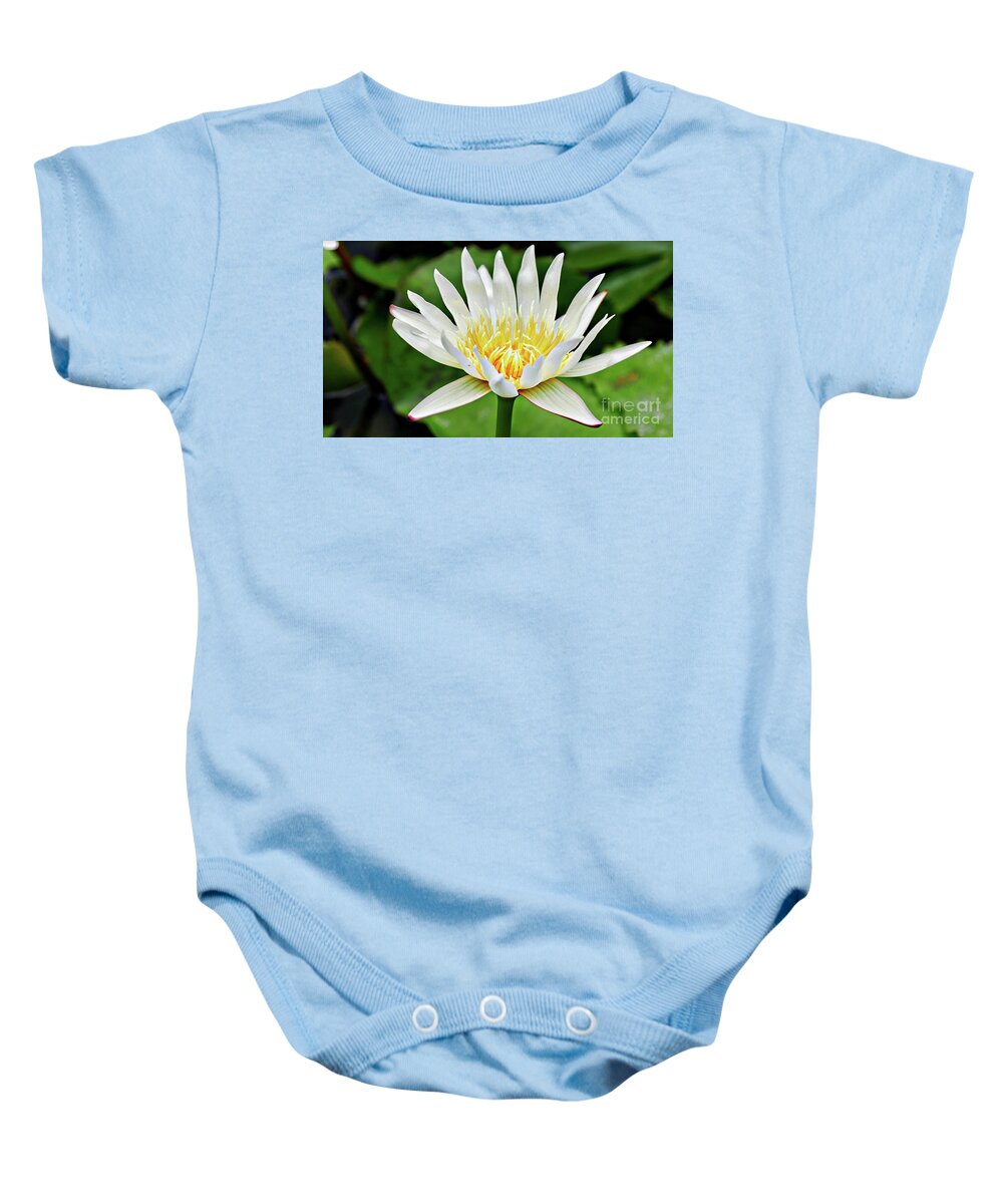 Water Lily Baby Onesie featuring the photograph White Lily #1 by On da Raks