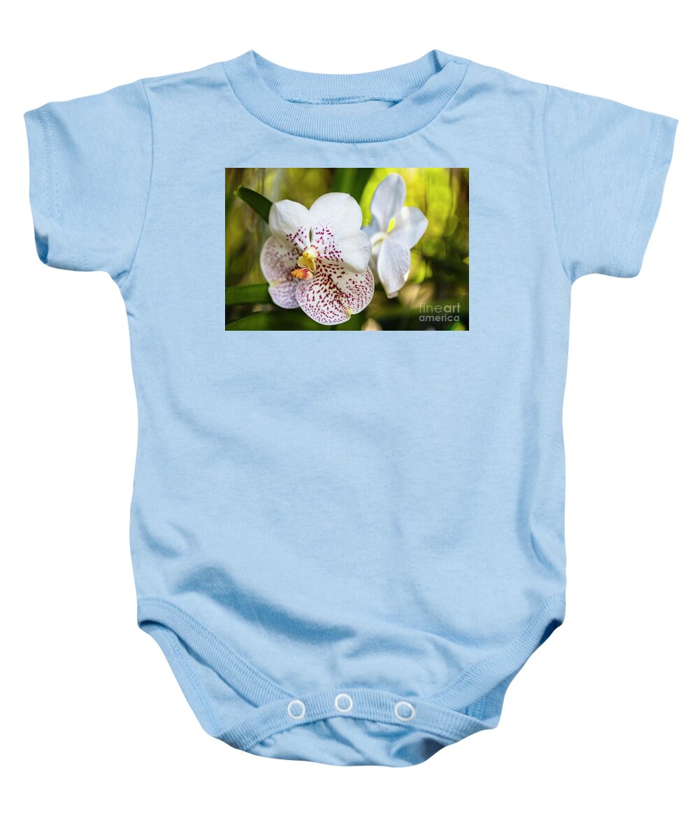 Background Baby Onesie featuring the photograph Spotted Orchid Flower #6 by Raul Rodriguez