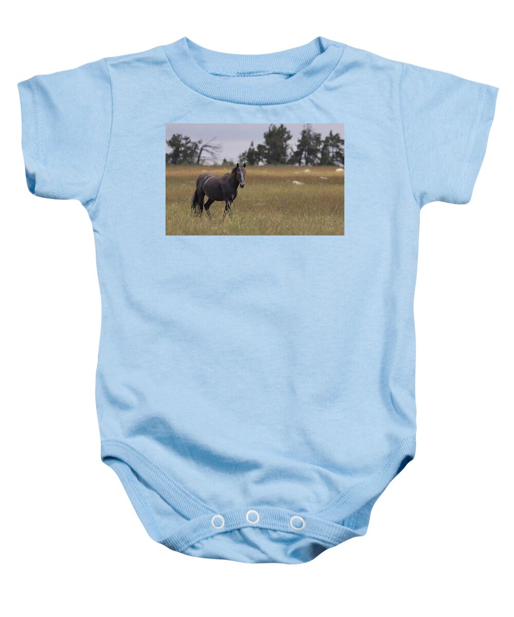 Horse Baby Onesie featuring the photograph Stallion #6 by Laura Terriere