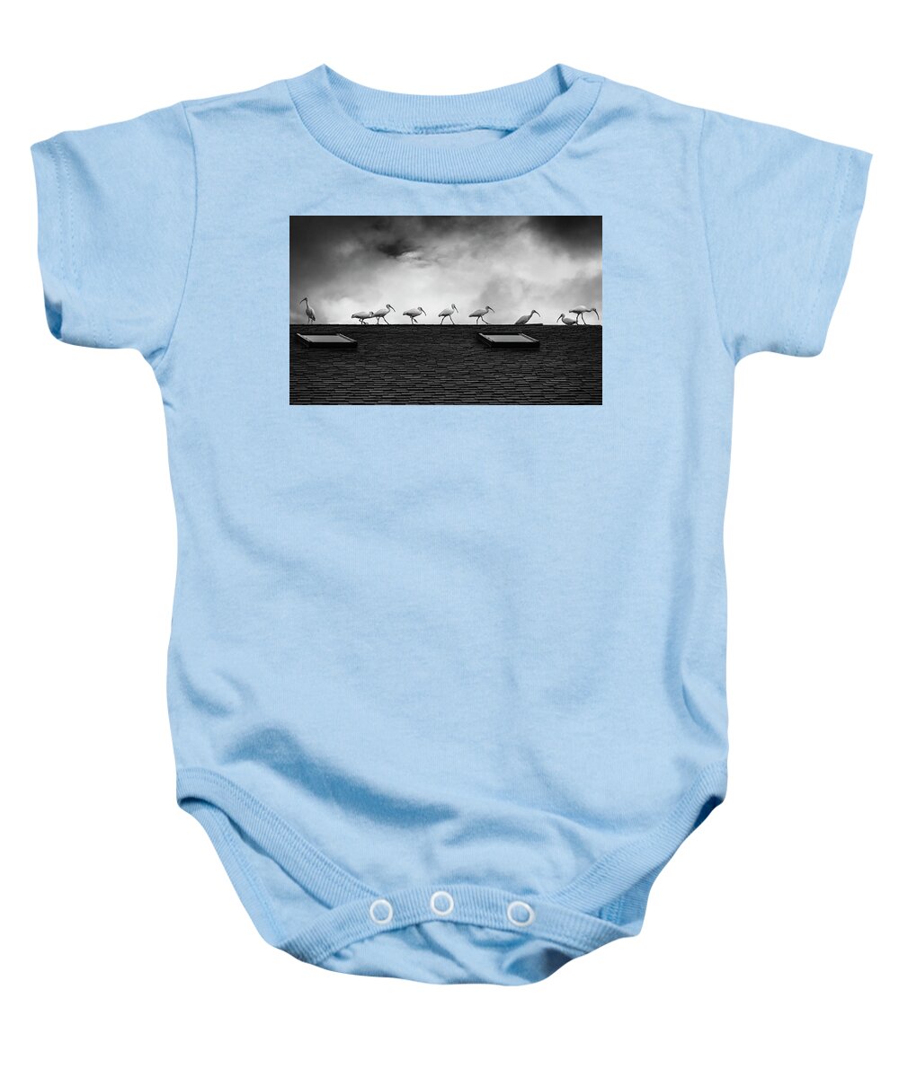 Animals Baby Onesie featuring the photograph All the World's a Stage by Laura Fasulo