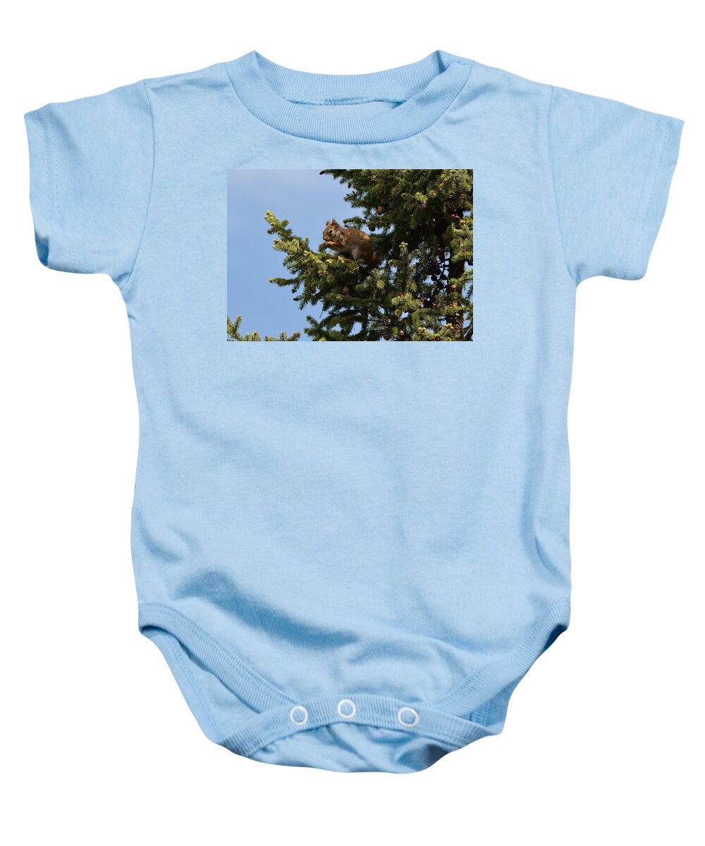 Squirrel Baby Onesie featuring the photograph All You Can Eat Buffet-Red Squirrel by David Porteus