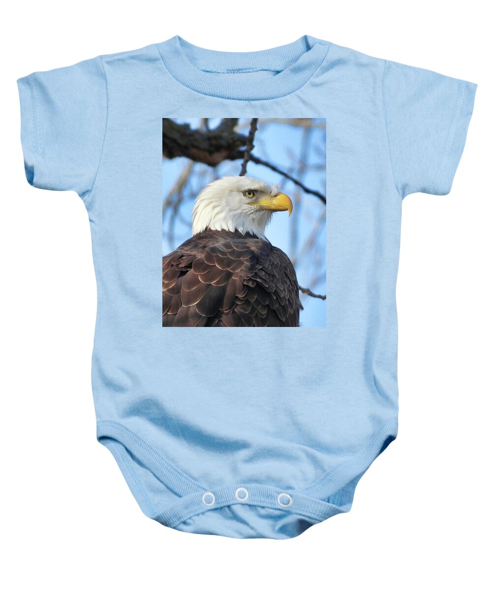 American Bald Eagle Baby Onesie featuring the photograph Always Alert by Jack Wilson