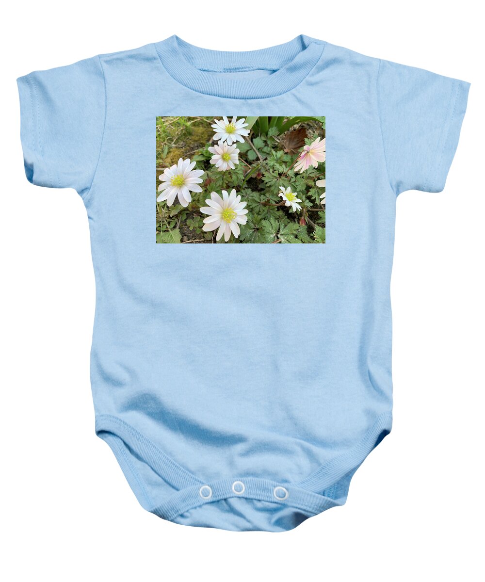 Spring Baby Onesie featuring the photograph Anemonoides Blanda by Lieve Snellings