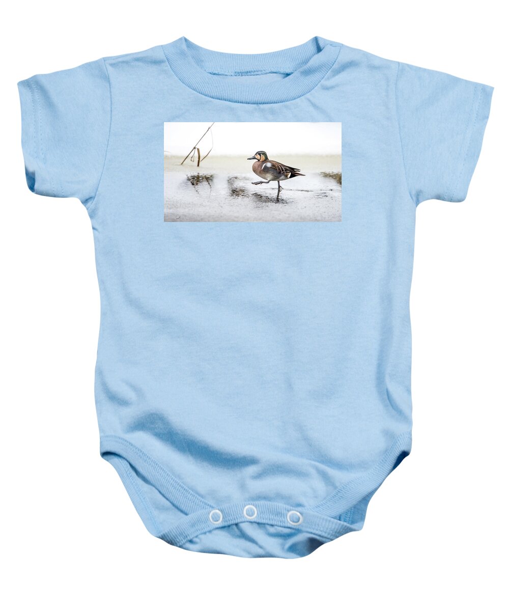 Baikal Teal Baby Onesie featuring the photograph Baikal Teal, the beautiful and rare visitor in Sweden, walks wit by Torbjorn Swenelius