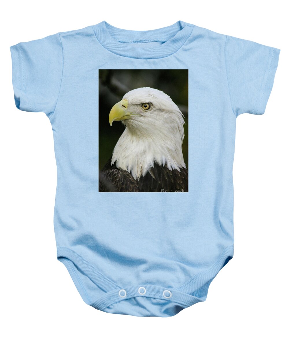 Head Baby Onesie featuring the photograph Bald Eagle Profile by Ed Stokes