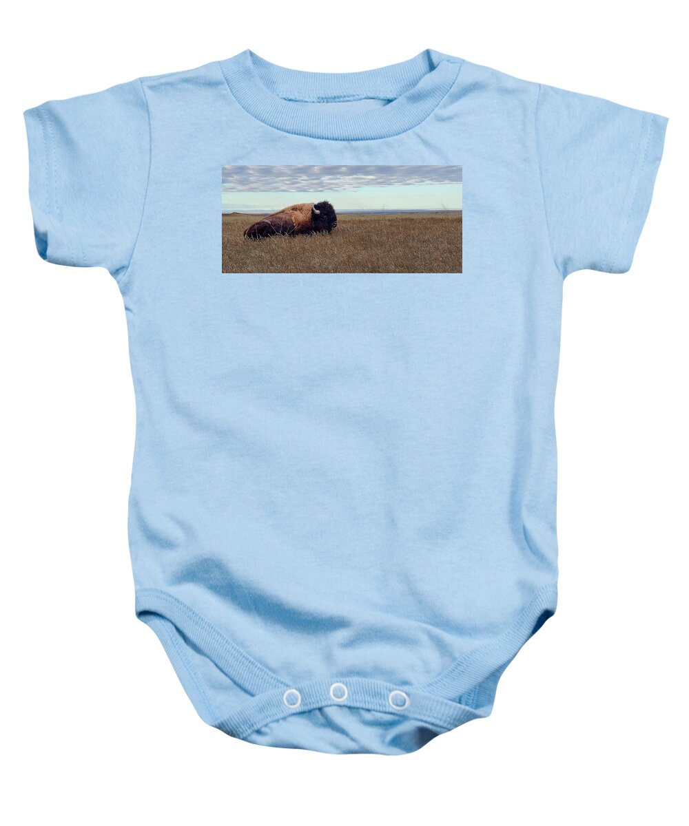 Badlands Baby Onesie featuring the photograph Bison on the Prairie by Double AA Photography