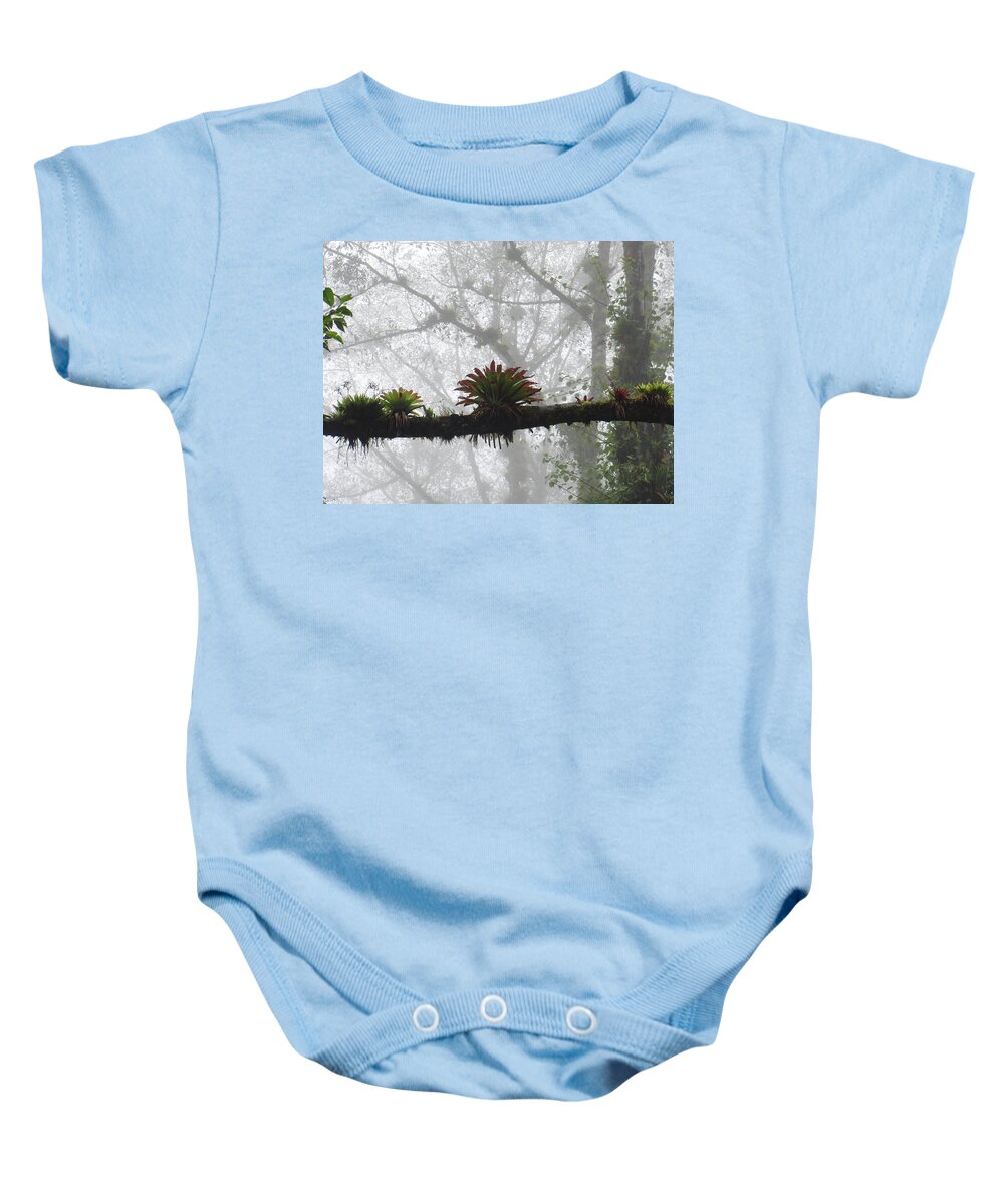 Bromeliads Baby Onesie featuring the photograph Bromeliads on Top of Cerro Uyuca 1 by Teresamarie Yawn