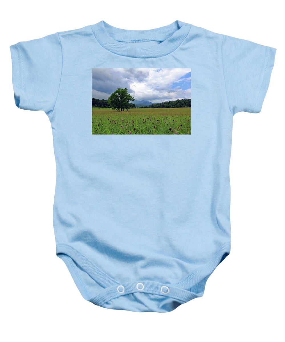 Tennessee Baby Onesie featuring the photograph Cades Cove Wildflower Pasture by Jennifer Robin