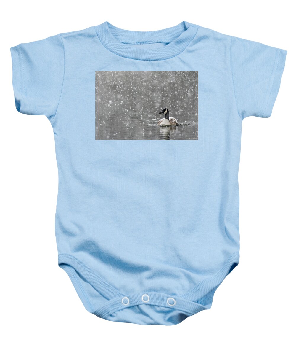 North America Baby Onesie featuring the photograph Canadian Goose in Snow 2 by Melissa Southern