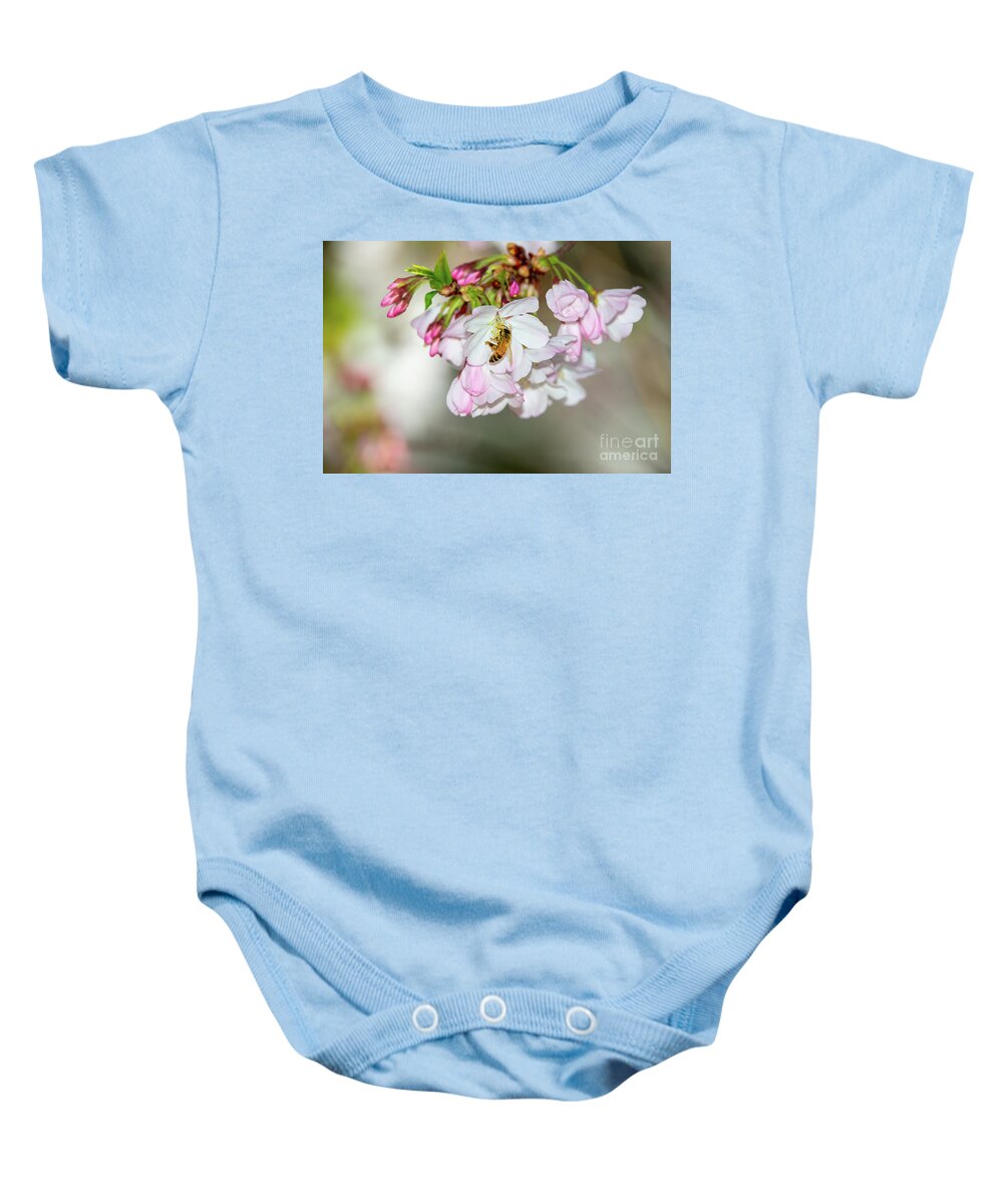 Pink Blossoms Baby Onesie featuring the photograph Cherry Blossoms, Bee, 4 by Glenn Franco Simmons